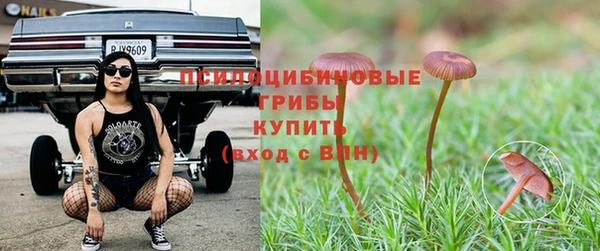 дмт Осинники