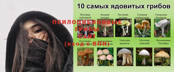 дмт Осинники