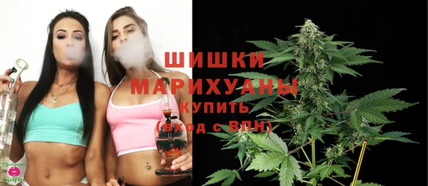 дмт Осинники