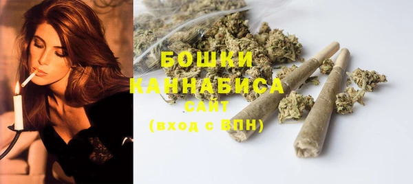 дмт Осинники